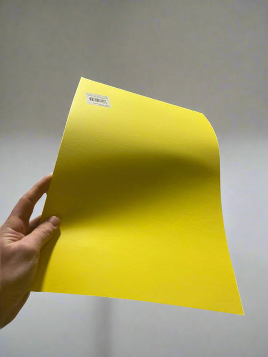 Yellow Poster Board - Cut