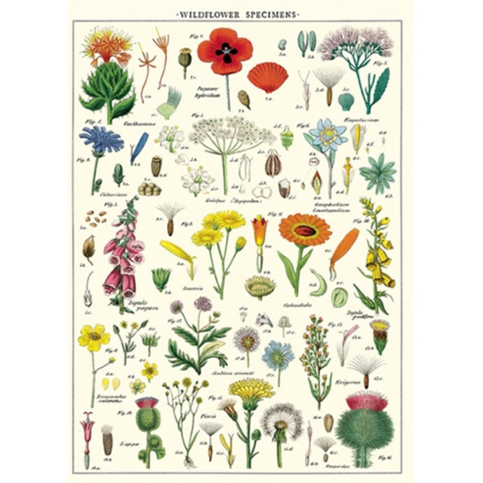 Wildflowers Vintage  Poster