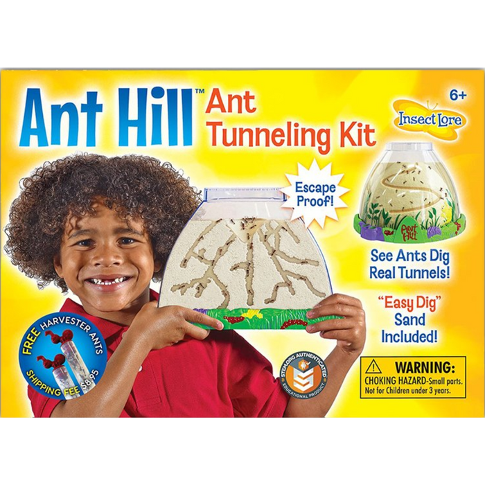 Ant Hill