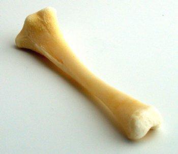 Chicken Bone