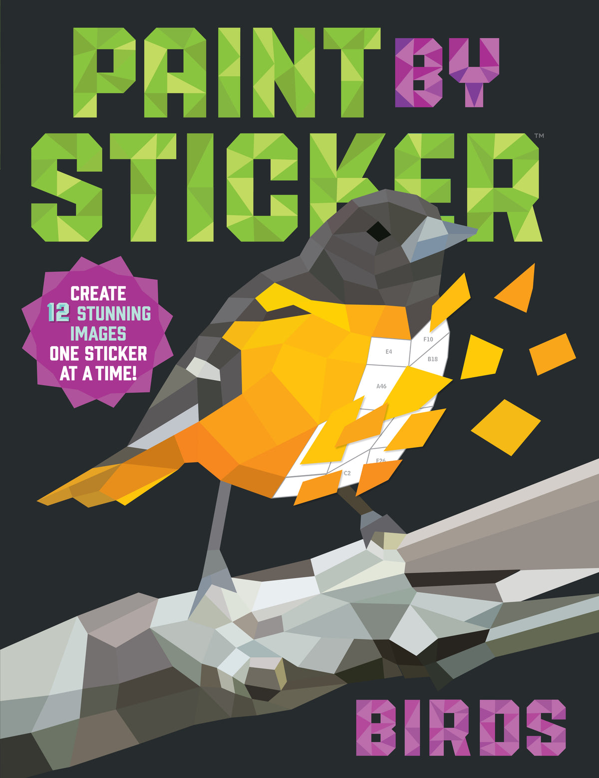 Paint-by-Sticker Books