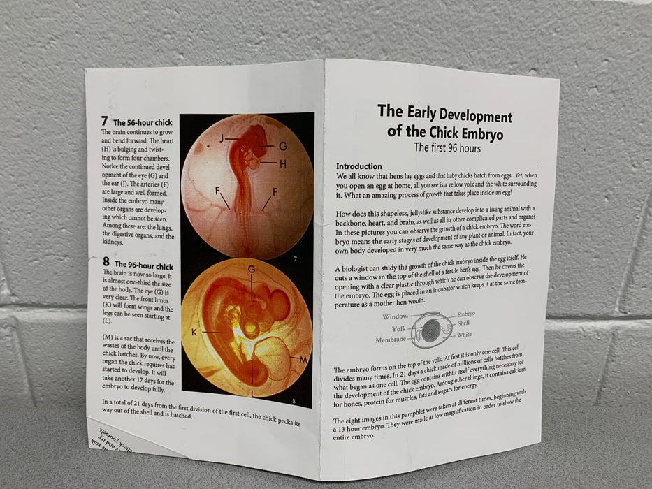 The Chick Embryo Guide booklet