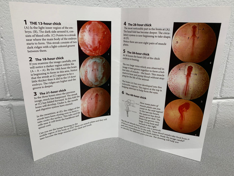 The Chick Embryo Guide booklet