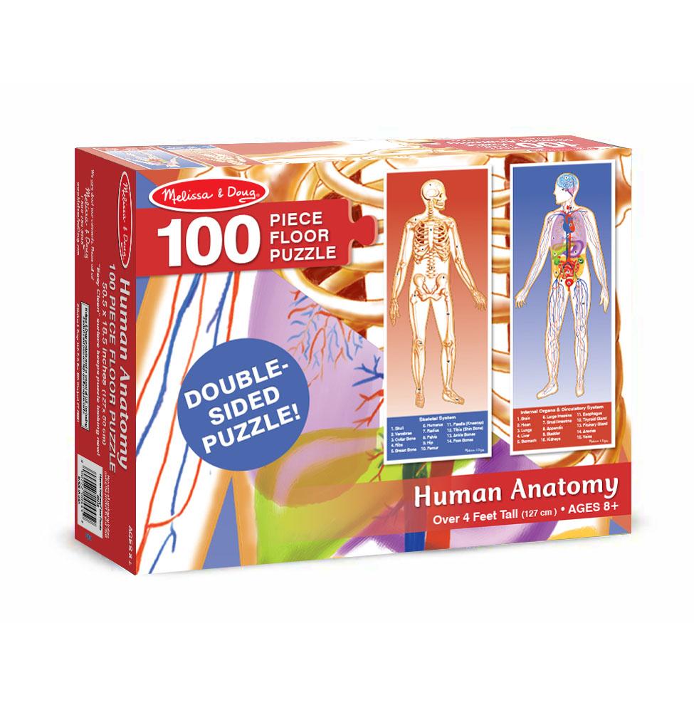 Shops human anatomy floor puzzle