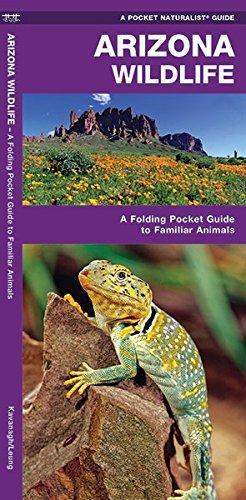 Pkt Nat: AZ Wildlife — Nature's Workshop Plus